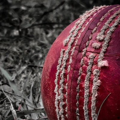 CricBureau's profile picture. Domestic, IPL & international cricket coverage. Match threads, tactical insights, player scouting and smart stats