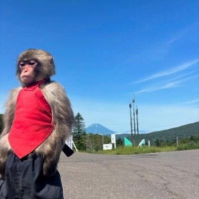 johnclinton0056's profile picture. Fan account, God's speed 🚀