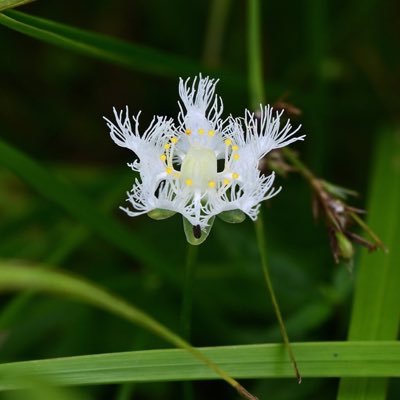 kouji_daisuki's profile picture. 平和を取り戻す為にツイートします。自由な生活、自由な表現、自分らしい生活の為に情報をツイします。ミュージカル大好き。原発廃炉、集団的自衛権、秘密保護法、TPP反対。自然エネルギー推進。今の日本の状態は異常。 地熱発電を推進