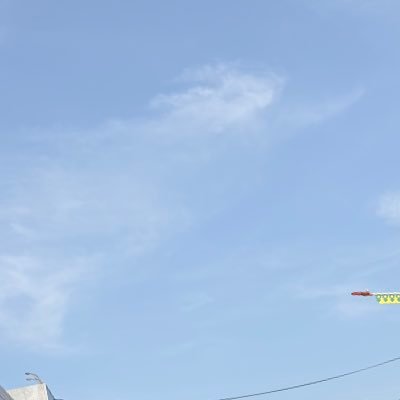 2529files's profile picture. 🪽 (n) broken cd.