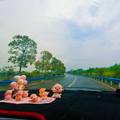 zhubaobao2025's profile picture. 🥦姐妹互关FB，关注必回关🤝
🥦🐱🐷ติดตามกันและกัน
🥦其号也可关注:@lanmao2025
      @AMEYAWKISAAC1      @PDebells