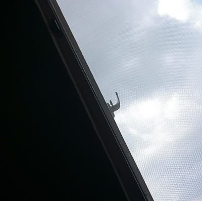 TheRighteous8's profile picture. 