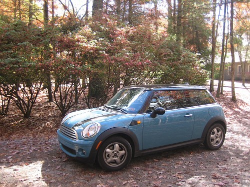 coopergerl's profile picture. Legally blonde