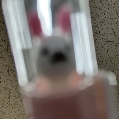 턴さんのプロフィール画像