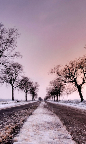 _logan_sundholm's profile picture. 