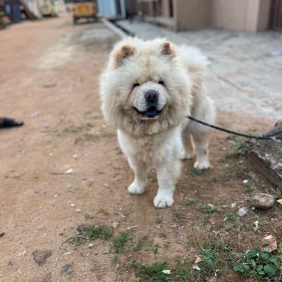 Humanist,Dog breeder, Never back down, Manchester united. https://t.co/UrbiFnJ7en
