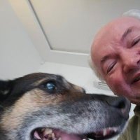 Frode Gimnes-Oliversen (@frodegimnesoli2) 's Twitter Profile
