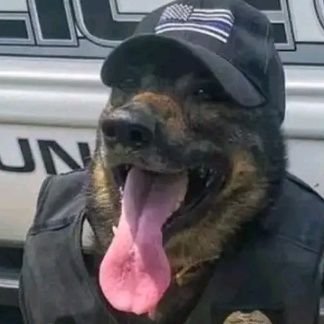 mangolover_lie's profile picture. This is my dark side