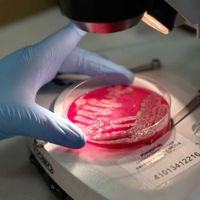 Kokos_Lab_'s profile picture. ✎ᝰ.ᐟ𝗖𝗮𝗻 𝘆𝗼𝘂 𝘀𝗮𝘃𝗲 𝘁𝗵𝗲𝗺 𝗮𝗹𝗹? ⎚-⎚:•.

ﮩ٨ـﮩﮩ٨ـ♡ﮩ٨ـﮩﮩ٨ـ

 - Read extended bio please! -
 - Muse info in pin -
- no emoji means Koko is talking -