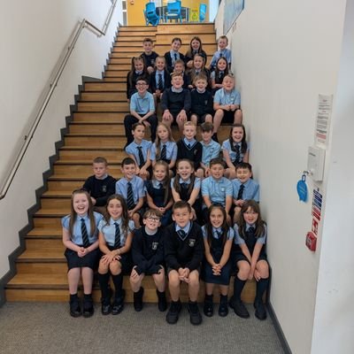 Mrs Williamson P6 Profile