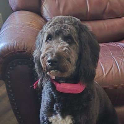 CydTruth's profile picture. 