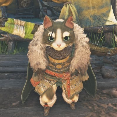 DevilMayCry5SpecialEdition/DragonsDogma2トロコン 現在モンハンワイルズをプレイ中 好きなキャラクターはDevilMayCry5のネロとバイオハザードのクリス・レッドフィールド