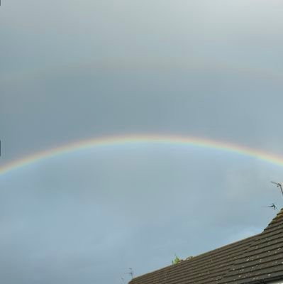 cocobea11881833's profile picture. 