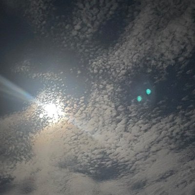 TinixT94's profile picture. 