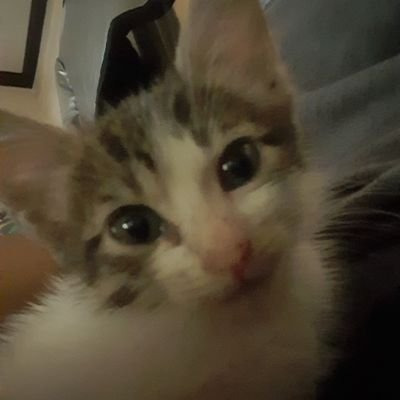 em__dumps's profile picture. letz gaur ppop, ahof ahof!