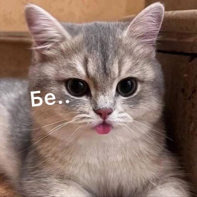 Katanar696's profile picture. 