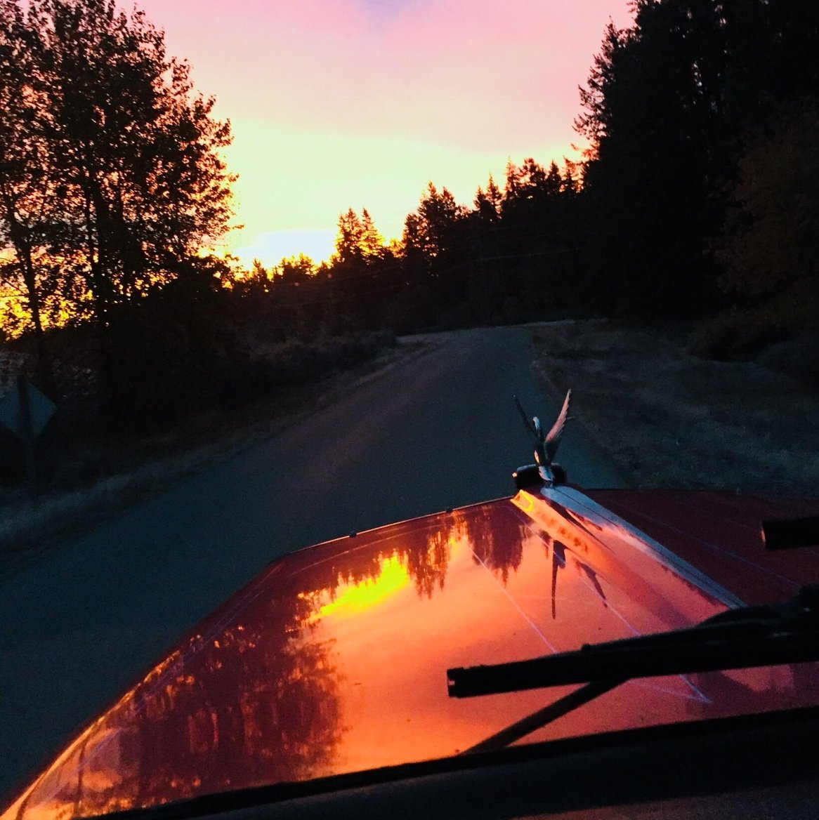 DaleSmithlu37's profile picture. 