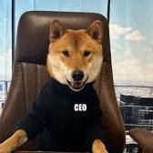 MdRodro7's profile picture. 