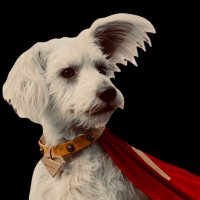 πππππππα°.αΰΌΛΛΛ (@kryptonlanmutt) 's Twitter Profile