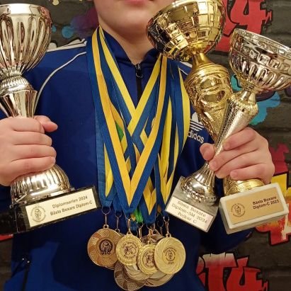 🇸🇪Champion 🫡🥊
This account managed by my Coaches/Family .
32 wins🥊😊 12 y/o
