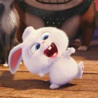 มะมาย~🐰 (@mildsrpw) 's Twitter Profile