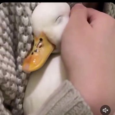 alaa_magdiii's profile picture. حياة متحركة على الارض 💜☕
 Dentist👩‍🔬💅... Du👀.. 

قف على ناصية الحلم وقاتل 🦋🌻