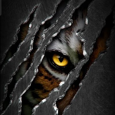Umbra_17_'s profile picture. 