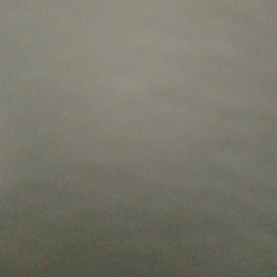 petrow67766996's profile picture.