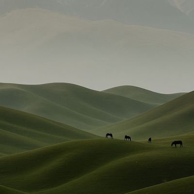 Eye2025_'s profile picture. 