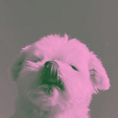 mycterizans's profile picture. 13/25