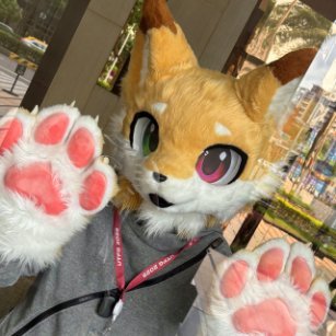 咖蛋⚡2025獸無限!!!さんのプロフィール画像