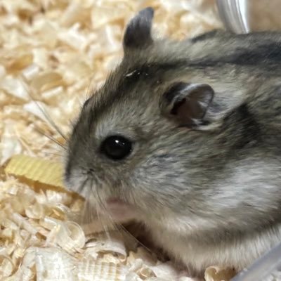 Orlando25111's profile picture. 