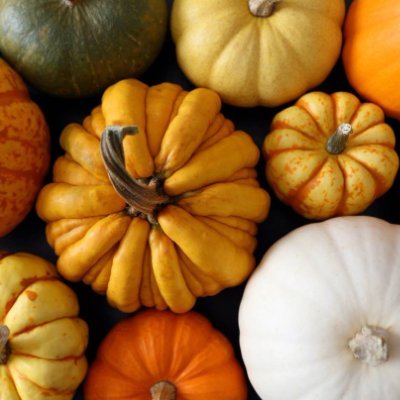 Collector of all things rustic & unique. Nothing better than small country midwest living. Love unique, Rare. A Small Business Seller on various platforms.