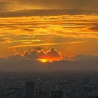 GAIA (@wtmblw6ujp16452) Twitter profile photo