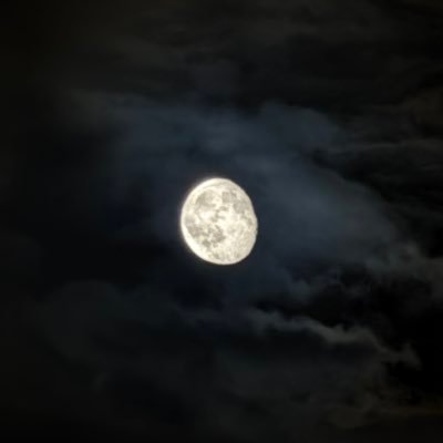 SnowFox1007's profile picture. M18