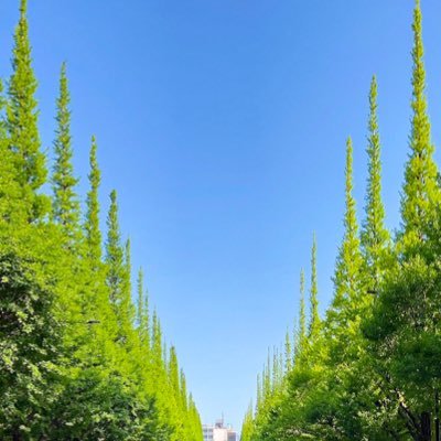 fAXkn3zsVcrqNNS's profile picture. 清水エスパルス 埼玉西武ライオンズ サッカーと野球の二刀流