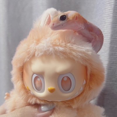 HEYx2dayo's profile picture. 前の垢ログインできなくなっちゃったてへぺろ (｡´･ω･`｡)NIKKE ロマサガrs デスチャ エペ PCゲーちょこちょこ