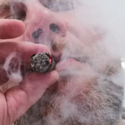Non venite a farmi la punta al cazzo che mi si consuma.
Comunista, sindacalista, ma ho anche dei difetti.
Pastaio di professione.
Artista marziale a tempo perso