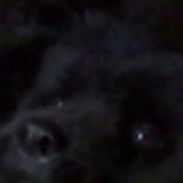 KaneeMel's profile picture. | ele/dele
| Instinto e doçura podem coexistir
| seja paciente cmg!!
| "come morning light, you and ill be safe and sound"