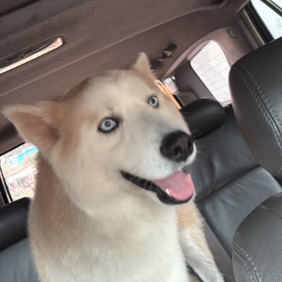 noguera85363's profile picture. 
