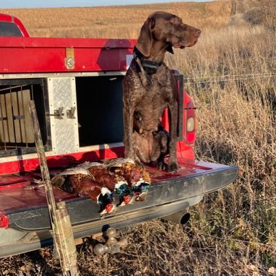 JimNEBirdDogs's profile picture. Family, Bird Dogs, Huskers, MAGA 🇺🇸 #saveAmerica, 2A!  God Bless Charlie Kirk and damn the anti-American left