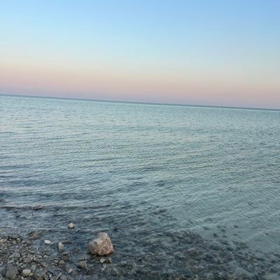 YlnfTmIycd5VSrz's profile picture. حب