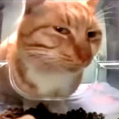 lostinnrv's profile picture. 