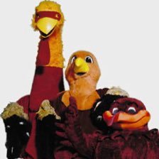 gobblerfacts's profile picture. 