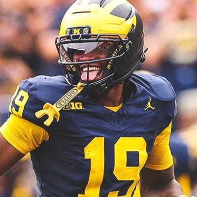 Huge fan of #GoBlue Tigers Red Wings Lions. SportsJim Award Hall of Famer. Smartass. USMC veteran. Whiskey snob. 1 half of THE JERKS w/ @Mortgagequeen09