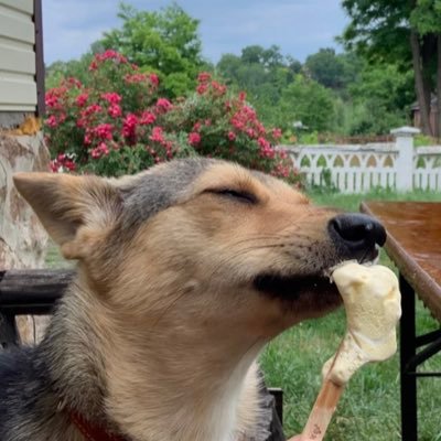 zla_kvochka_v_3's profile picture. шанувати смерть, цінувати життя