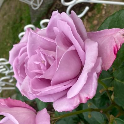 S_luck45's profile picture. 龍空選手✨に魅了されてドラゴンズファンになりました。龍空選手は特別で、チームも箱推しで応援しています。とりとめもなくポストします！