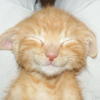 y4kshax8io's profile picture. 16 sixteen