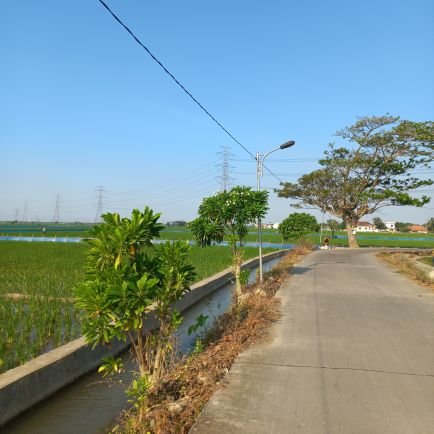 yewniceskirt's profile picture. 