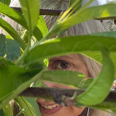 📸 🇱🇧🏳️⚧️ 🇨🇦 🇵🇸Ally, professional procrastinator, Cloud gazer #treehugger #pollinatorfriendlyyard #stopthegenocide #bringmasksbackinhealthcare #Empath